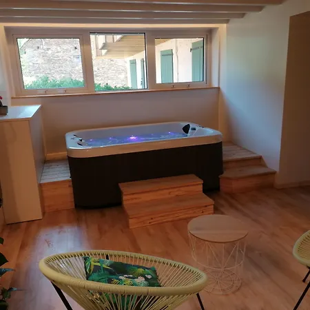 Logis Restaurant Du Pont 3* Ambialet